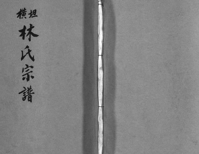 横坛林氏宗谱[3卷另3卷]1994年 浙江黄岩区 乐清市林氏电子版家谱下载