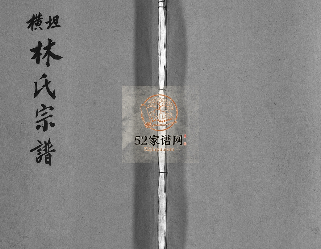 横坛林氏宗谱[3卷另3卷]1994年 浙江黄岩区 乐清市林氏电子版家谱下载