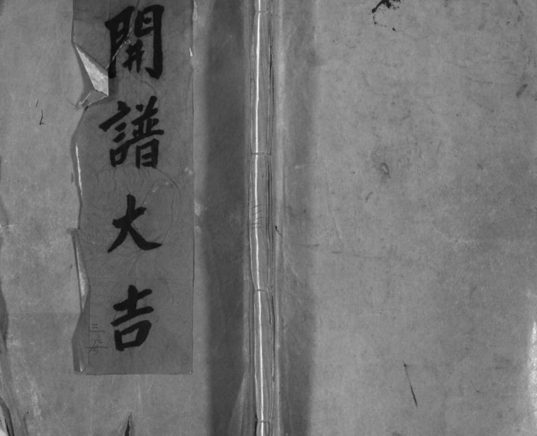 乐清横山严氏宗谱[10卷]1943年重修 浙江温州严氏电子版家谱下载