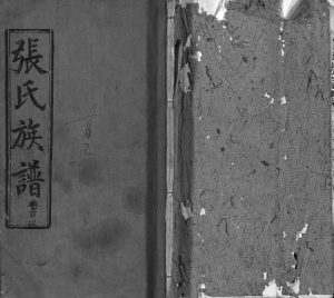 张氏族谱[11卷,首2卷]1889年七修 湖北黄冈市红安县张氏PDF电子版家谱下载
