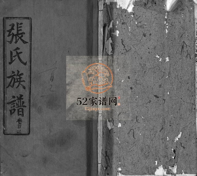 张氏族谱[11卷,首2卷]1889年七修 湖北黄冈市红安县张氏PDF电子版家谱下载