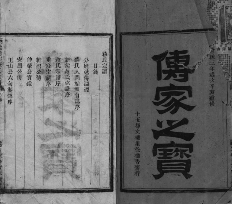 平邑江南廿五都下蘓玉龙口武功郡苏氏宗谱[不分卷]1911年重修 平阳 乐清苏氏电子版家谱下载