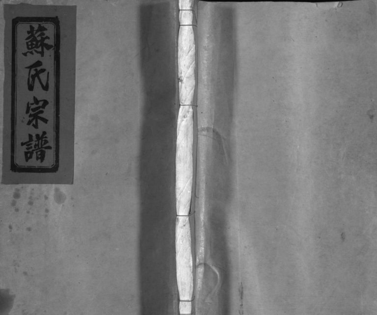 武功郡苏氏宗谱[不分卷]1936年重修 浙江平阳 乐清苏氏电子版家谱下载