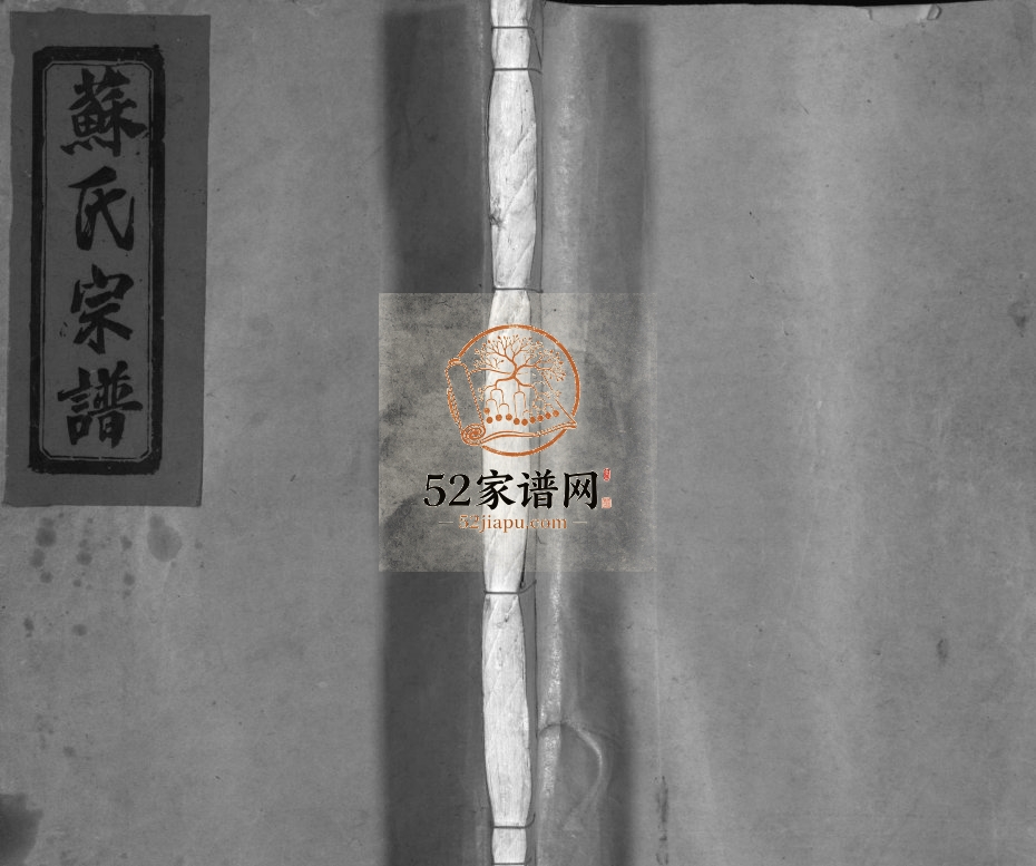 武功郡苏氏宗谱[不分卷]1936年重修 浙江平阳 乐清苏氏电子版家谱下载