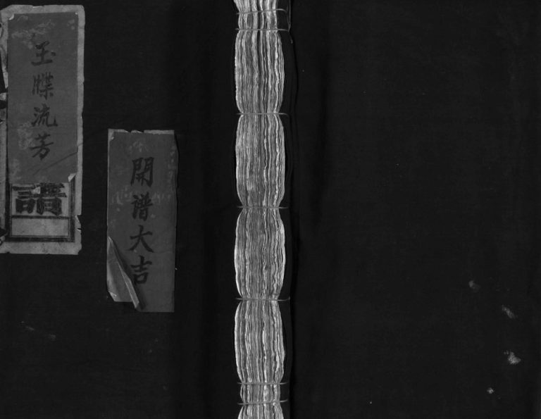 水坑赵氏宗谱[不分卷]1958年增修 浙江乐清赵氏电子版家谱下载