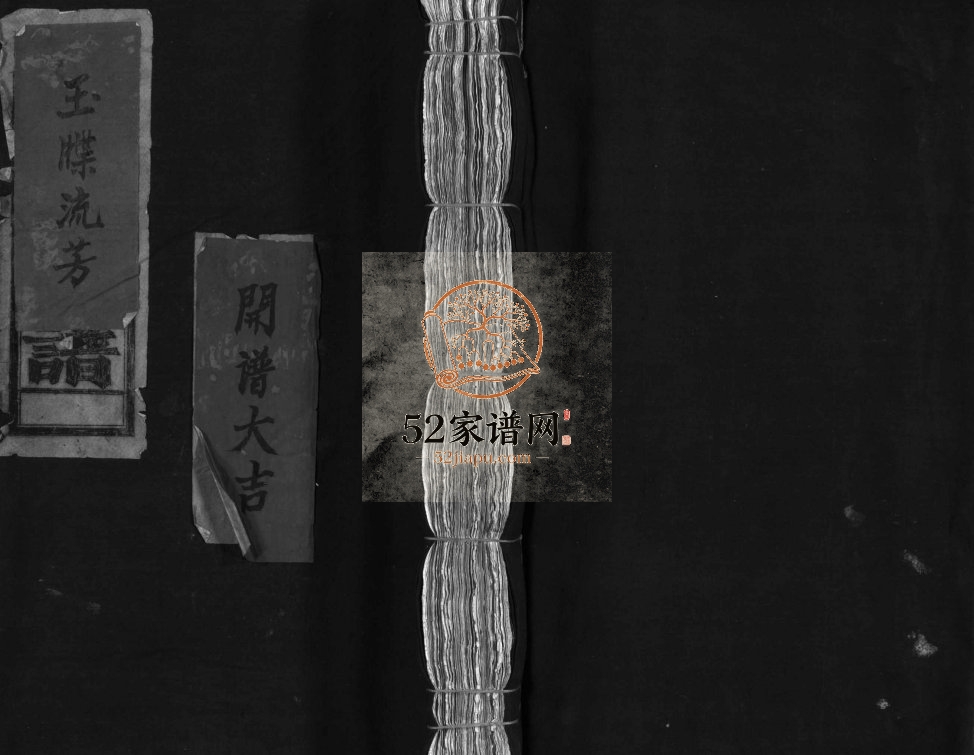 水坑赵氏宗谱[不分卷]1958年增修 浙江乐清赵氏电子版家谱下载