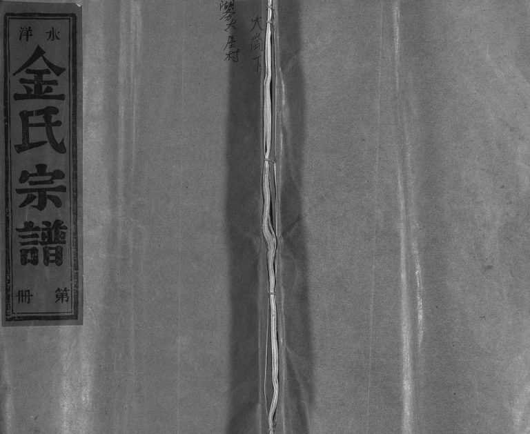 水洋金氏宗谱[不分卷]1992年重修 浙江乐清市金氏电子版家谱下载