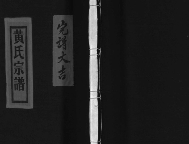 江夏郡蒲岐黄氏宗谱[不分卷]2000年重修 浙江乐清黄氏电子版家谱下载
