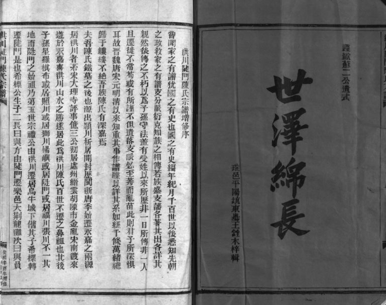 洪川陡门陈氏宗谱[不分卷]1981年增修 浙江温州市平阳 乐清陈氏电子版家谱下载