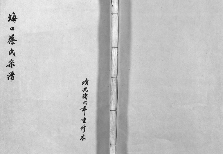 海口蔡氏宗谱[不分卷]1880年修 浙江乐清市蔡氏电子版家谱下载
