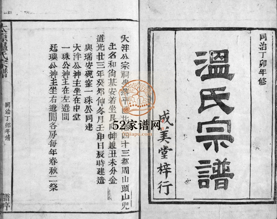 太原郡温氏增修谱[3卷]清1867年 浙江瑞安 平阳 乐清 玉环温氏电子版家谱下载