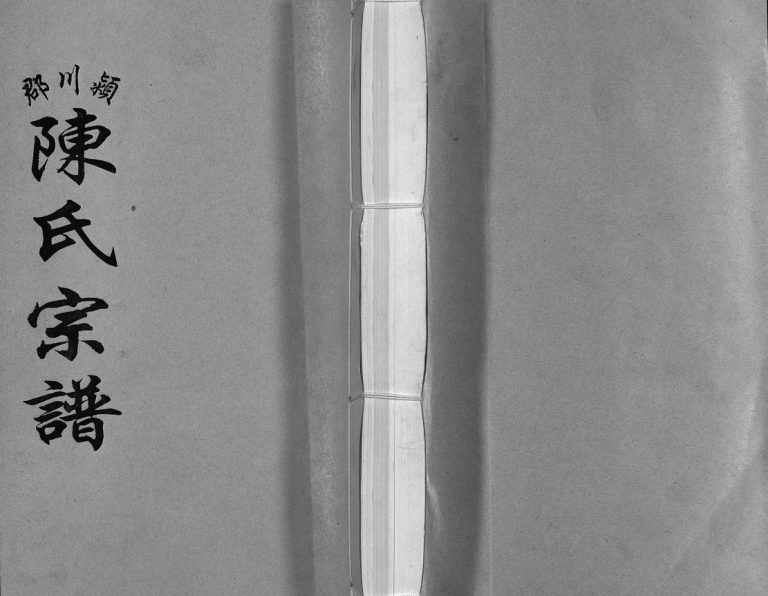 颍川郡陈氏宗谱[不分卷]2006年重修 浙江温州市苍南 乐清陈氏电子版家谱下载