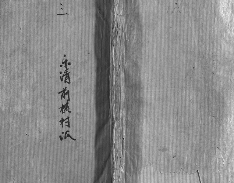 颍川陈氏宗谱[不分卷]1974年修 浙江温州乐清陈氏电子版家谱下载