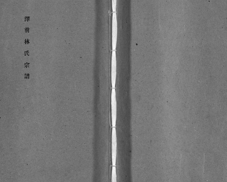 泽前林氏宗谱[不分卷]1992年修 浙江省温州乐清市林氏电子版家谱下载