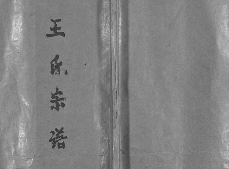 乐清里湖王氏房谱[3卷首1卷]1992年重修 浙江省温州乐清市王氏电子版家谱下载