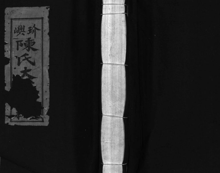 玠屿陈氏大宗谱[不分卷]1980年修 乐清万岙玠屿联支宗谱电子版家谱下载