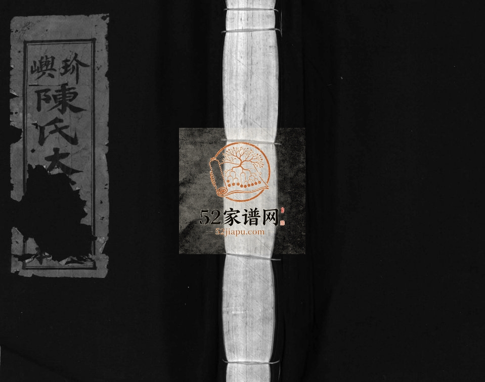 玠屿陈氏大宗谱[不分卷]1980年修 乐清万岙玠屿联支宗谱电子版家谱下载
