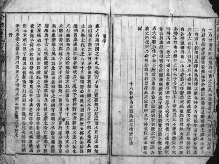玠屿陈氏宗谱[不分卷]清咸丰10[1860]修 浙江温州市乐清陈氏电子版家谱下载