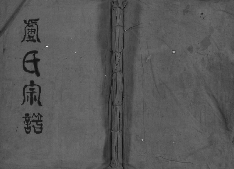 卢氏宗谱[1册]1983年修 浙江省温州市乐清市卢氏电子版家谱下载