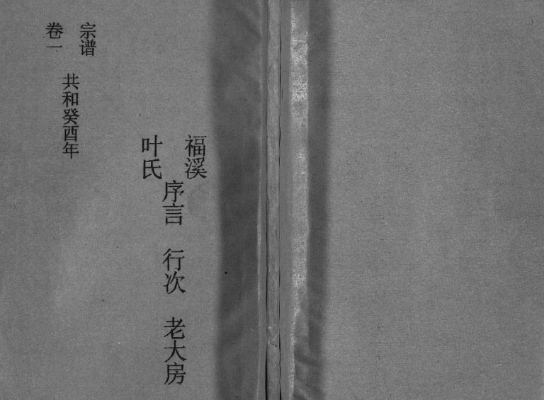 福溪叶氏宗谱[5卷]1993年重修 浙江温州乐清市电子版家谱下载