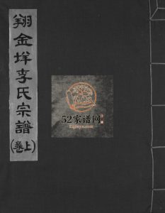 翔金垟李氏宗谱[上下卷]2005年重修 浙江乐清李氏电子版家谱下载