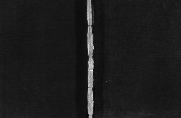 芙川蔡氏宗谱[2册]清光绪11[1885]重修 浙江乐清吕田蔡氏电子版家谱下载