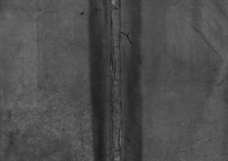 花村林氏三房支谱[1册]清宣统2[1910]重修 浙江乐清林氏电子版家谱下载