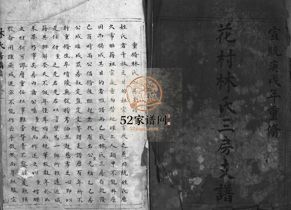 花村林氏三房支谱[1册]清宣统2[1910]重修 浙江乐清林氏电子版家谱下载