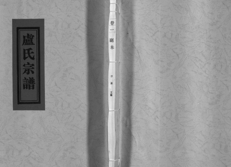 范阳郡卢氏宗谱[8卷]2006年重修 乐清市芙蓉镇黄岙卢氏电子版家谱下载