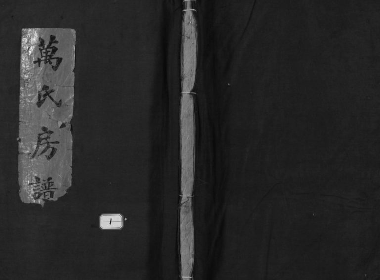 乐清万桥万氏宗谱[10卷]1910年重修 浙江省温州市万氏电子版家谱下载