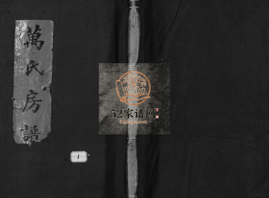 乐清万桥万氏宗谱[10卷]1910年重修 浙江省温州市万氏电子版家谱下载