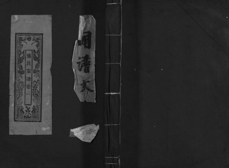 蒲岐城郭张氏宗谱1905年修 浙江乐清张氏电子版家谱下载