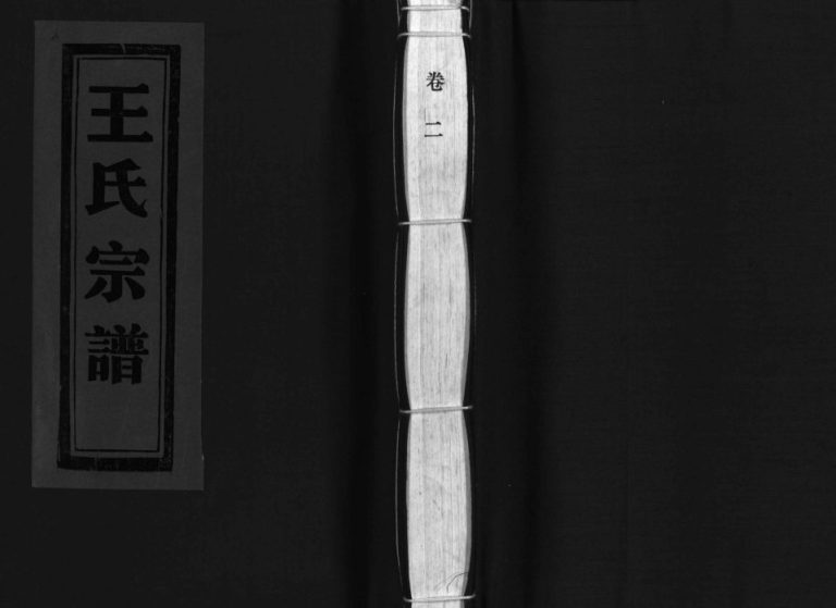 乐清蒲岐王氏宗谱[5卷]2000年修 浙江乐清王氏电子版家谱下载