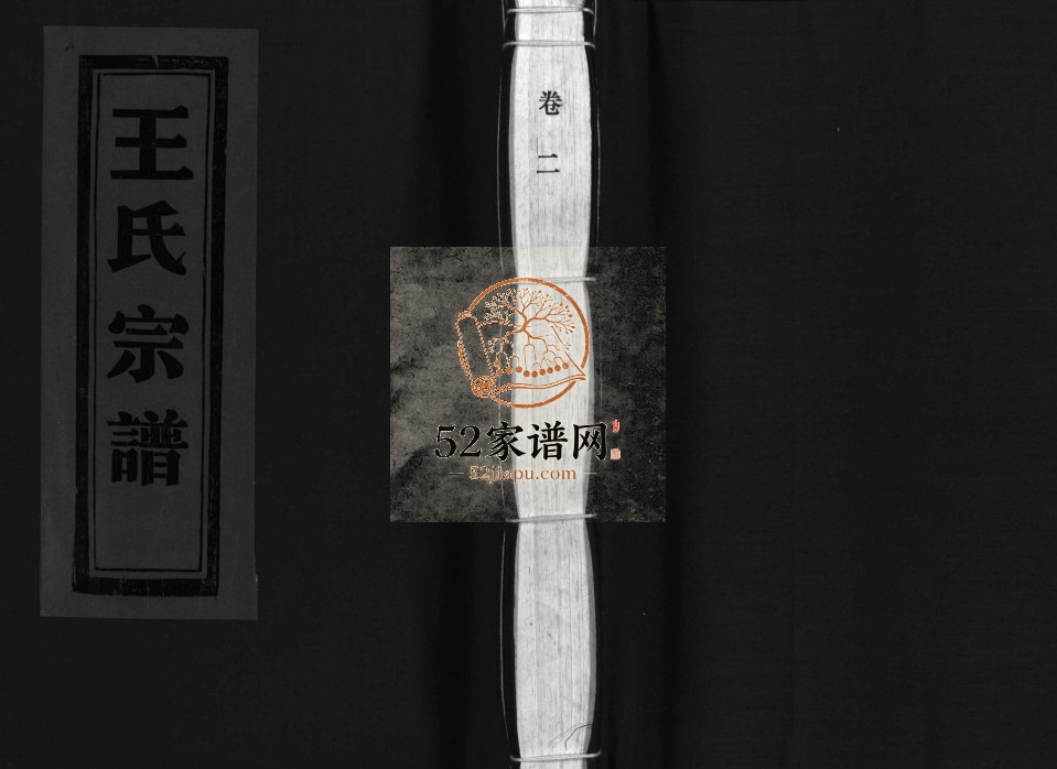 乐清蒲岐王氏宗谱[5卷]2000年修 浙江乐清王氏电子版家谱下载