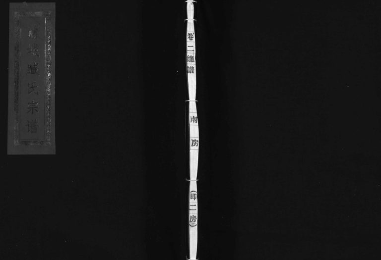 东海郡蒲城臧氏守勋堂[5卷]2007年重修 乐清市蒲岐臧氏电子版家谱下载