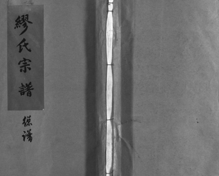 兰陵缪氏宗谱[不分卷]1991年重修 浙江苍南 乐清缪氏电子版家谱下载