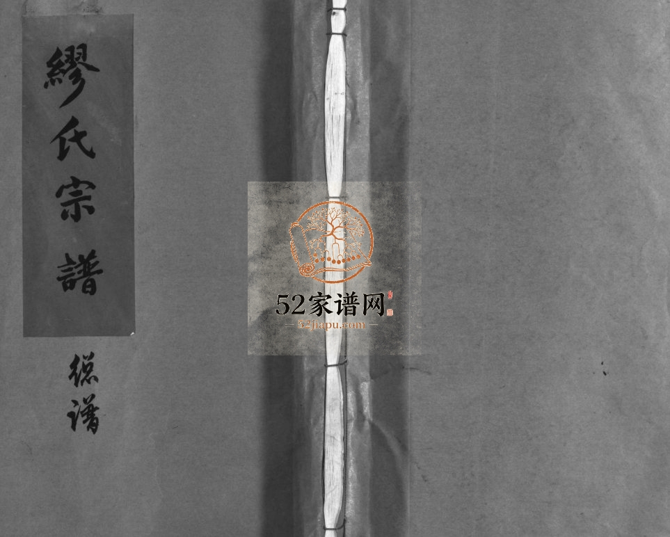 兰陵缪氏宗谱[不分卷]1991年重修 浙江苍南 乐清缪氏电子版家谱下载