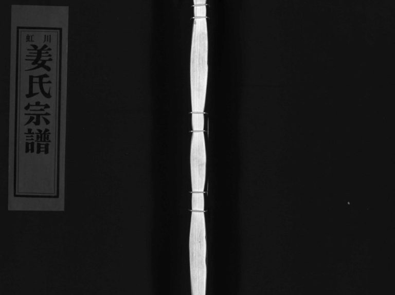 天水郡虹川姜氏宗谱[1册]2008年重修 浙江乐清姜氏电子版家谱下载