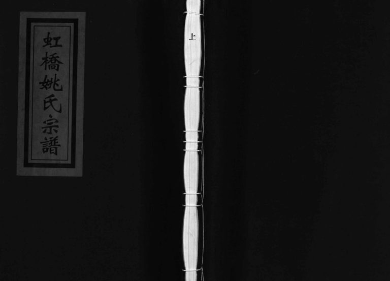 乐清虹桥姚氏宗谱[2卷]2006年重修 浙江乐清姚氏电子版家谱下载