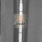 蟾河堡施氏大族谱[按房分册]2000年重修 浙江乐清施氏电子版家谱下载