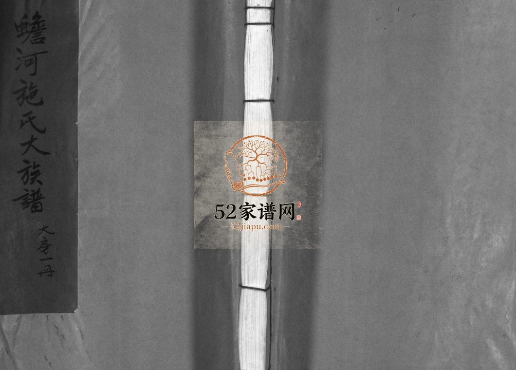蟾河堡施氏大族谱[按房分册]2000年重修 浙江乐清施氏电子版家谱下载