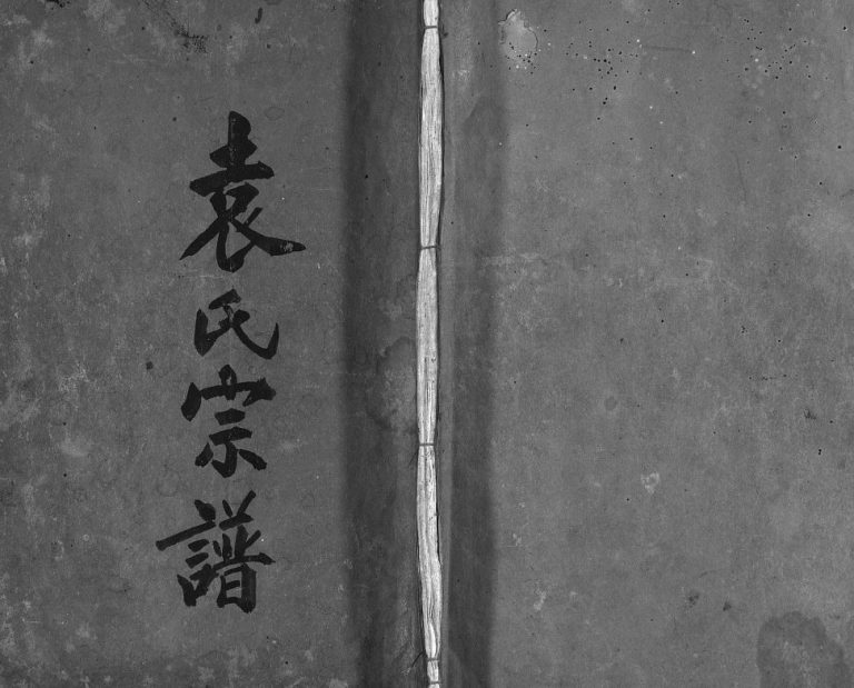 乌龙坑袁氏重修宗谱[不分卷]1915年重修 浙江乐清市湖村袁氏电子版家谱下载