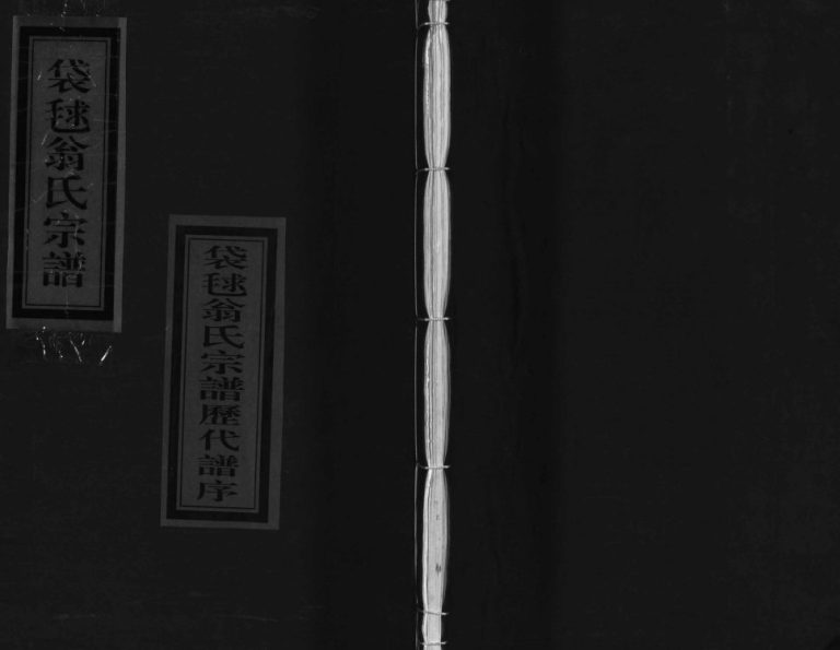 袋球翁氏宗谱历代谱序[不分卷]2000年重修 浙江温州市乐清翁氏电子版家谱下载