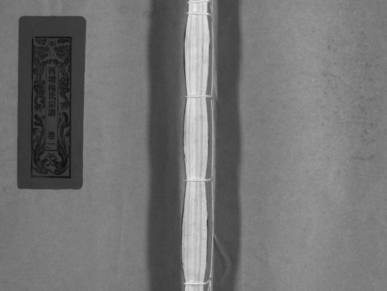 西塘杨氏宗谱[4卷]2005年重修 浙江温州市乐清杨氏电子版家谱下载