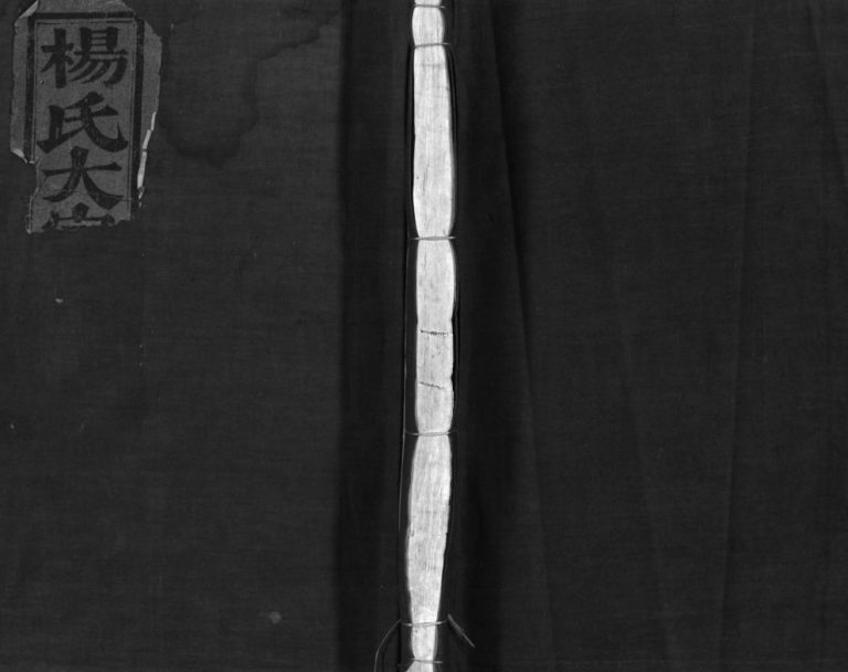 西塘杨氏宗谱1931年重修 浙江温州市乐清杨氏电子版家谱下载
