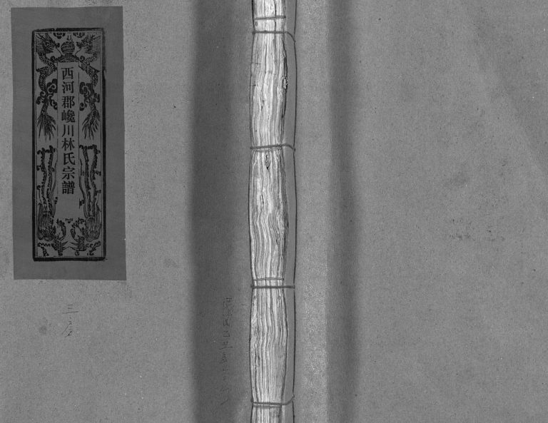 西河郡巉川林氏宗谱1949年重修 浙江温州市乐清林氏电子版家谱下载