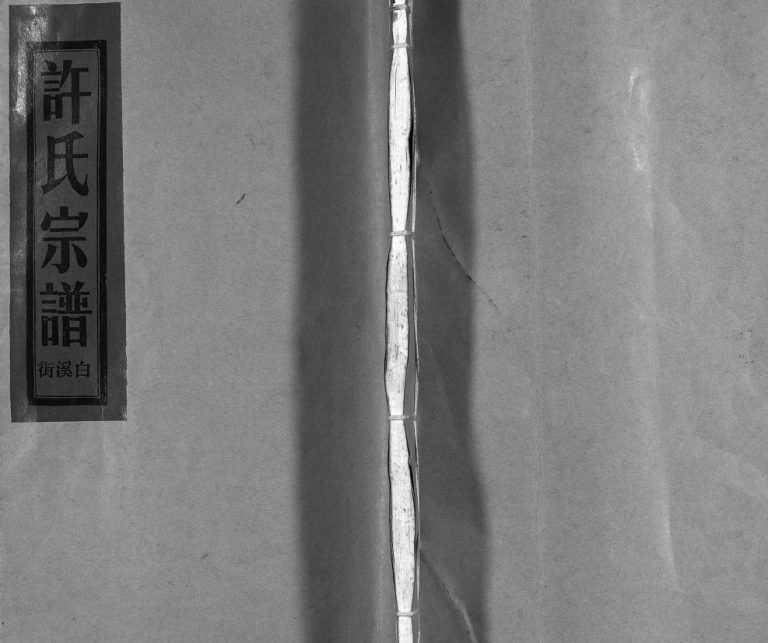 许氏宗谱:白溪街[不分卷]2002年重修 浙江乐清高阳郡许氏电子版家谱下载