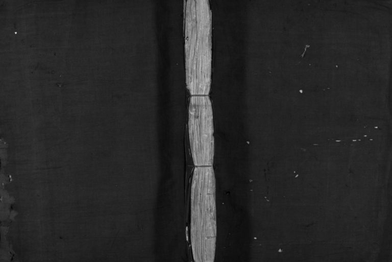 象山石氏宗谱[不分卷]清同治12[1873]重修 浙江乐清石氏电子版家谱下载