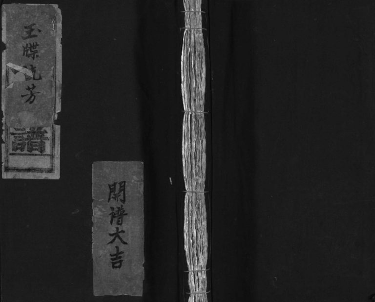 水坑赵氏宗谱[不分卷]1980年重修 乐清市赵氏大宗谱电子版家谱下载