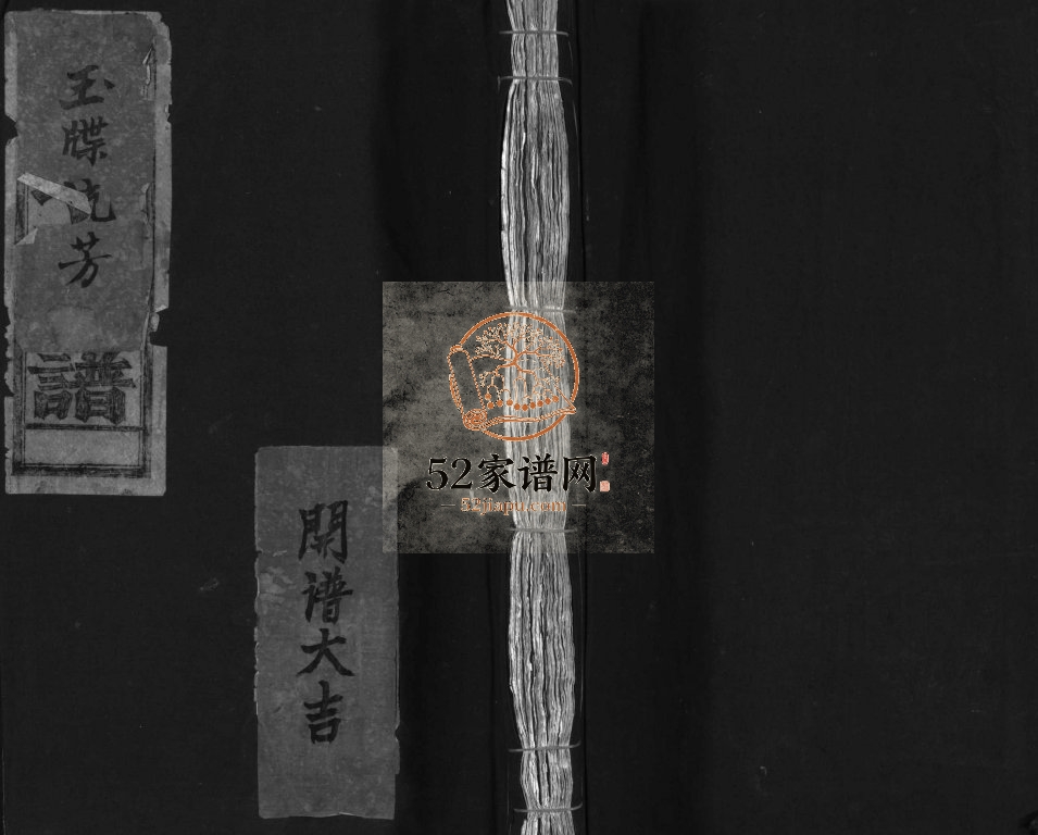 水坑赵氏宗谱[不分卷]1980年重修 乐清市赵氏大宗谱电子版家谱下载